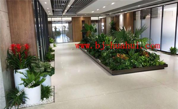 办公楼花卉装饰方案