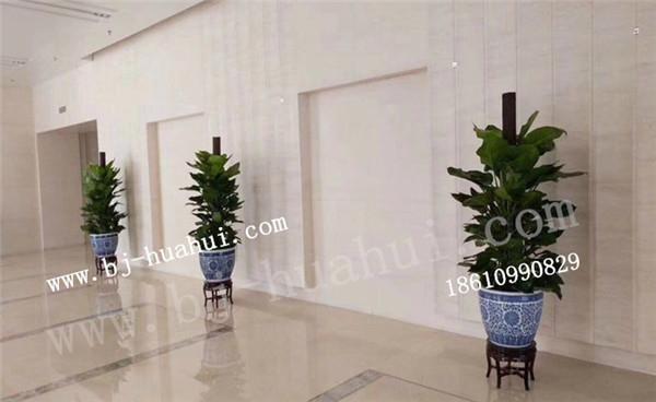 办公楼工卉装饰方案