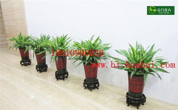 学校花卉布置方案