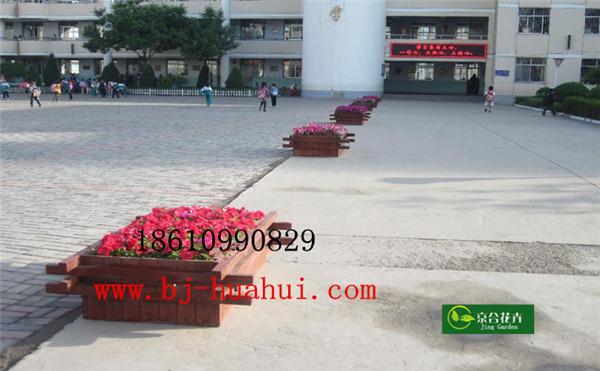 学校花卉布置方案