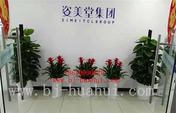 办公楼工卉装饰方案
