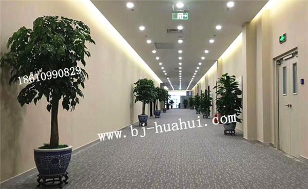 办公楼工卉装饰方案